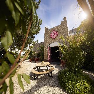 Carlton Oasis fotoÄŸrafÄ±