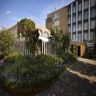 Carlton Oasis fotoÄŸrafÄ±