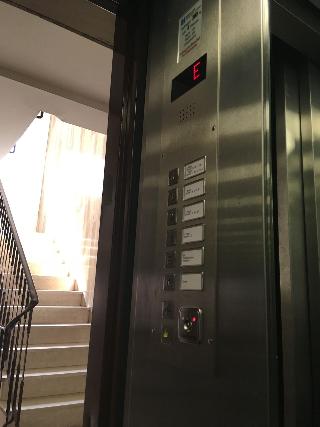 Moguntia fotoÄŸrafÄ±