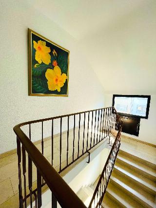 Moguntia fotoÄŸrafÄ±