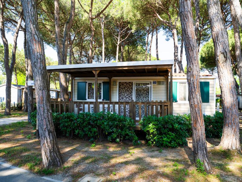 Club del Sole Adriano Family Collection - Oda
