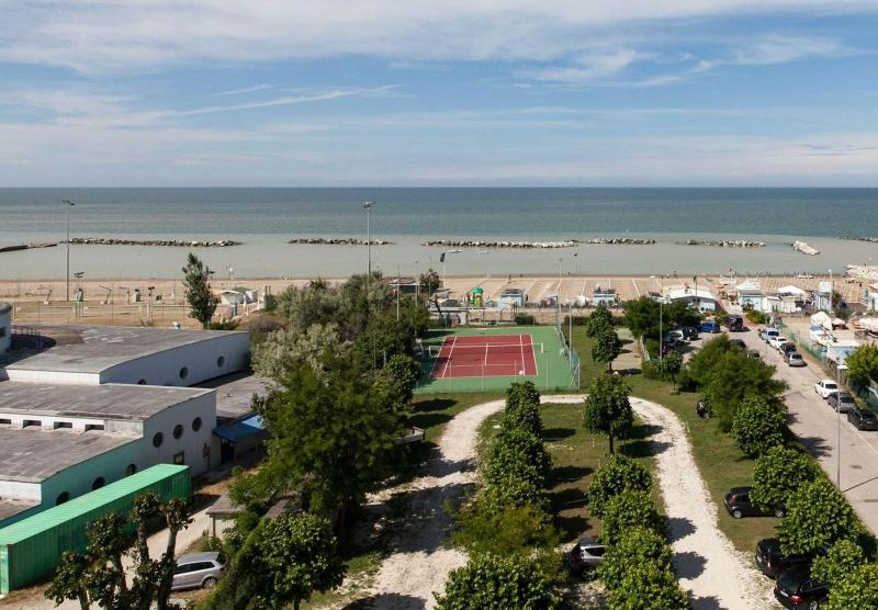 Cormoran - Aktivite