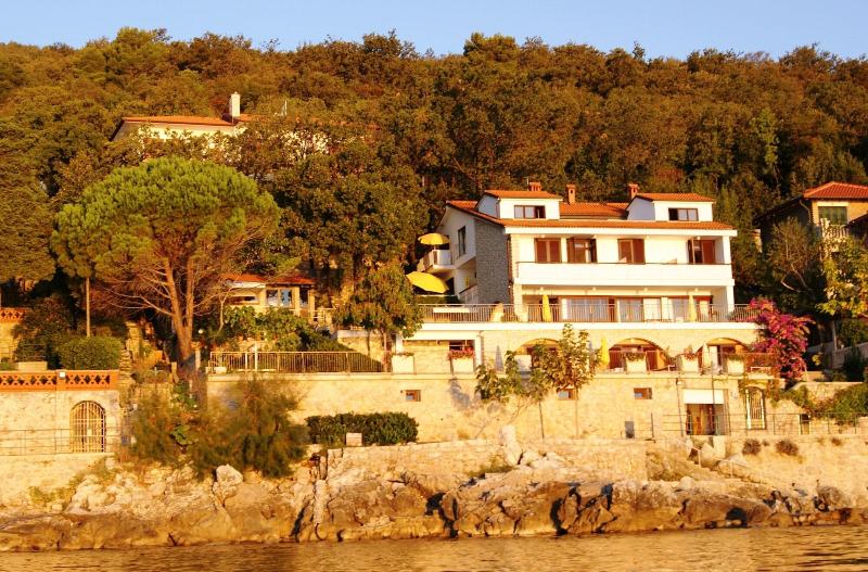 Villa Kleiner - Genel
