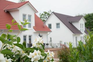 Schwabe fotoÄŸrafÄ±
