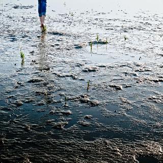 Lundenbergsand fotoÄŸrafÄ±