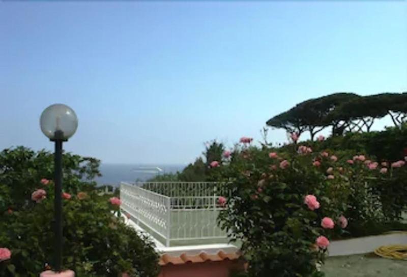 Hotel Bel Tramonto - Genel