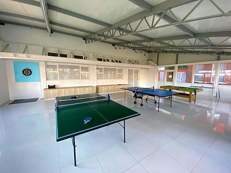 Tisza Sport - Genel