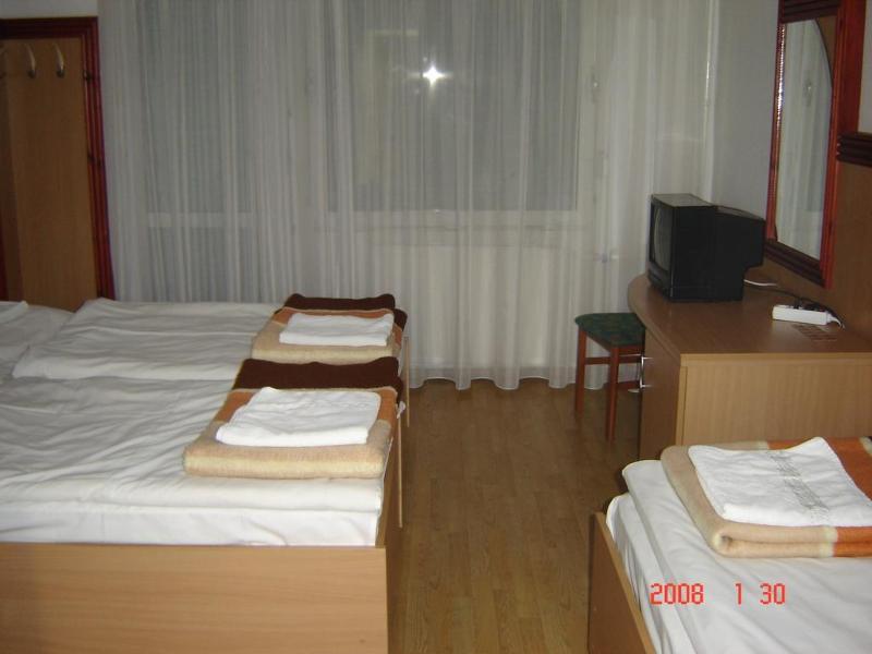 Tisza Sport - Genel