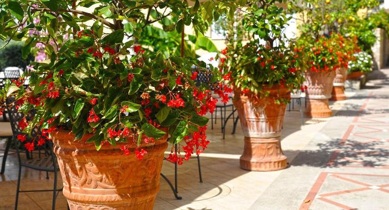 Hotel Marincanto - Teras