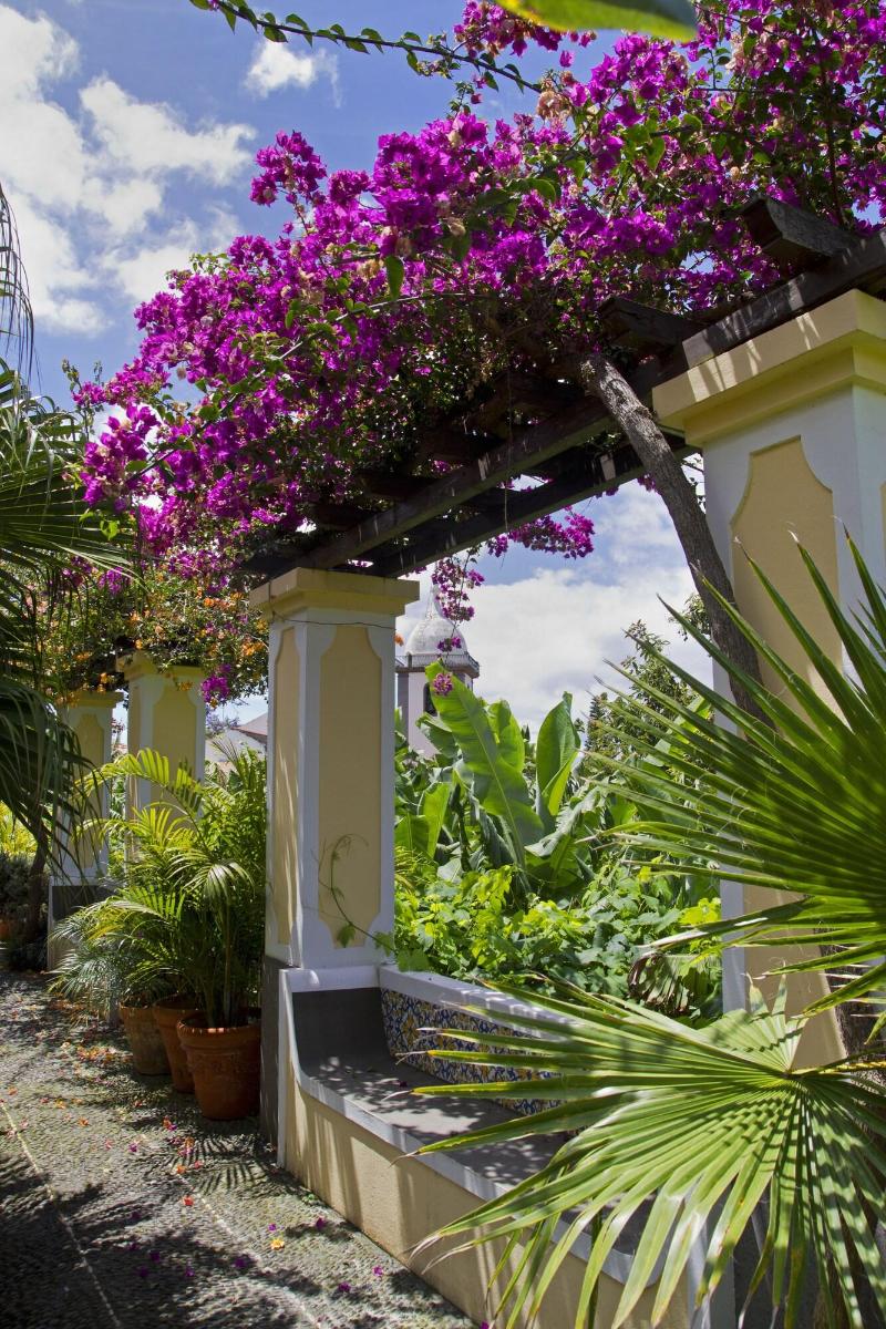 Quinta Bela Sao Tiago - Genel