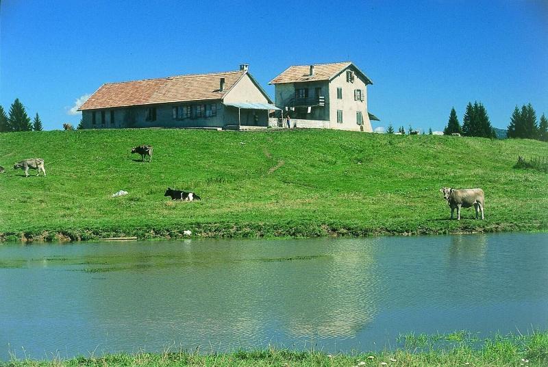 Residence Alaska - Genel