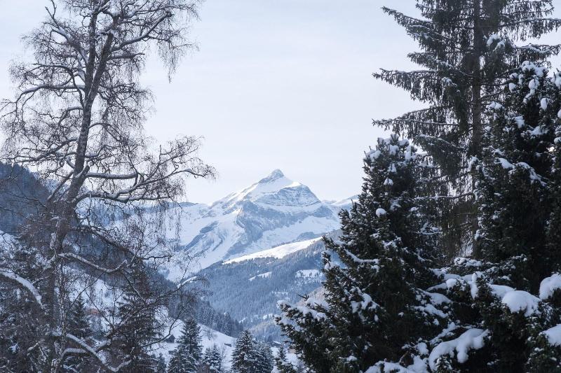 Palace Gstaad - Genel