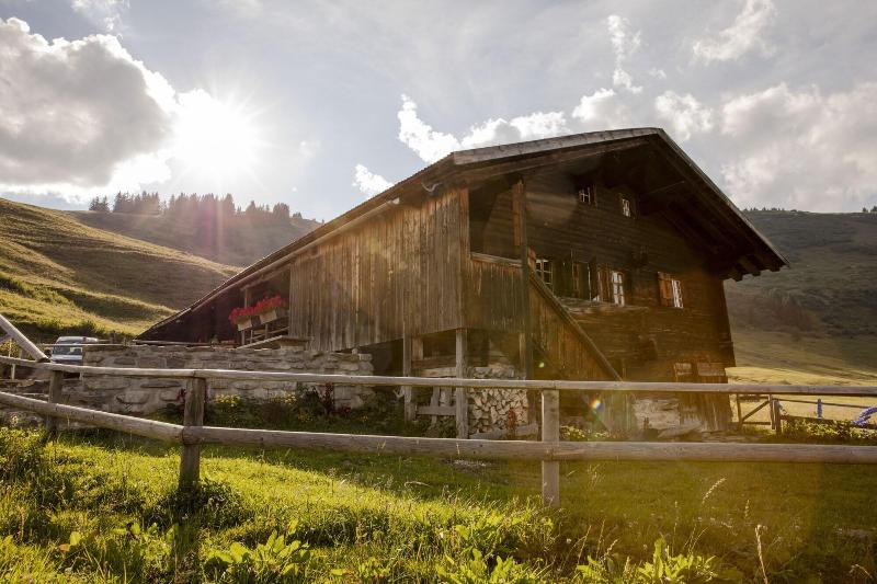 Palace Gstaad - Genel
