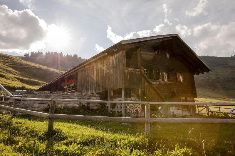Palace Gstaad - Genel