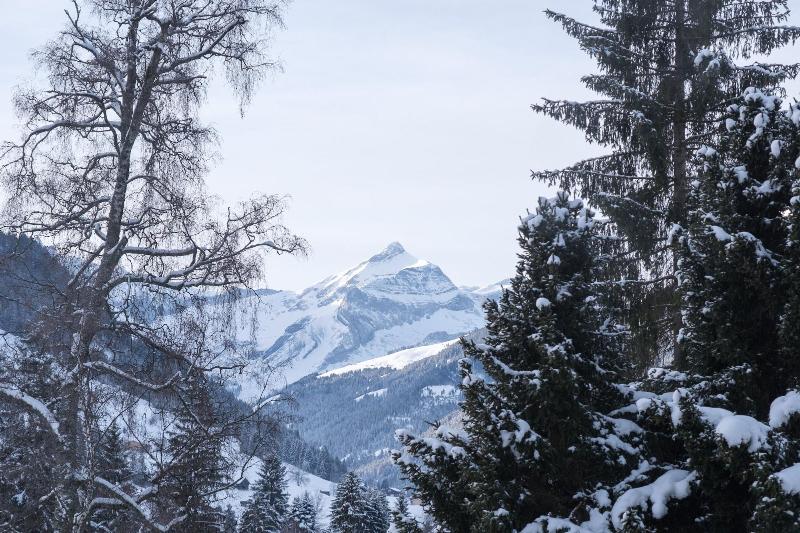 Palace Gstaad - Genel