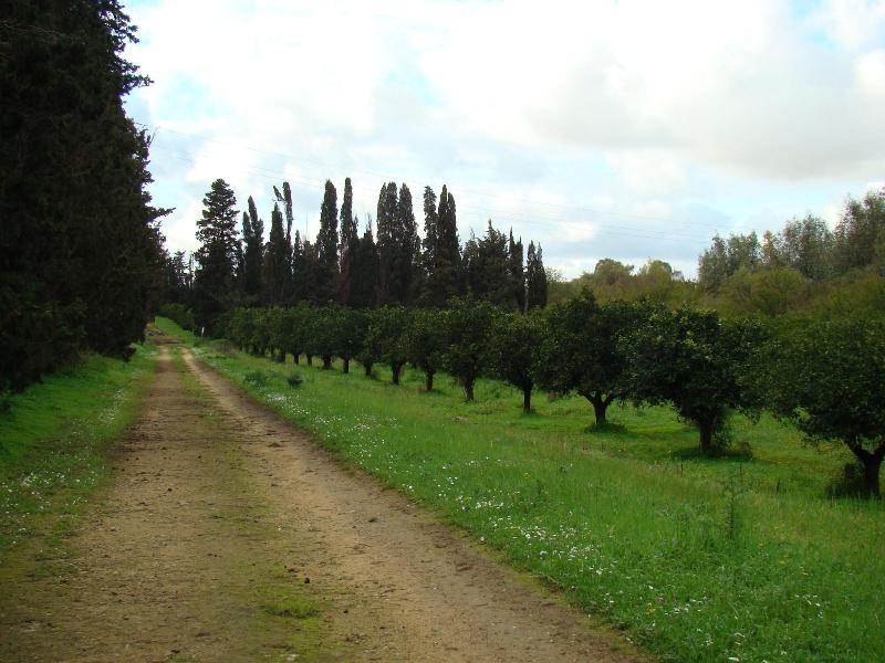 Case di Latomie - Genel