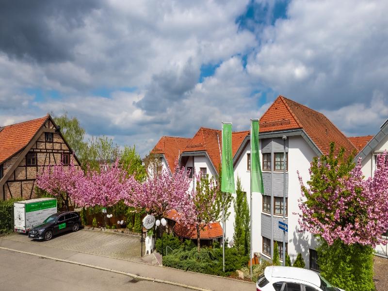 Hotel Restaurant Zum Reussenstein - Genel