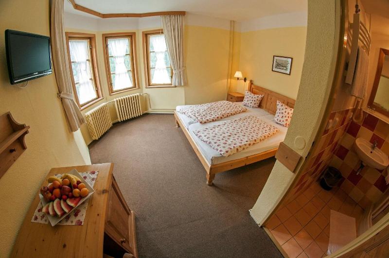 Alpsky Hotel - Oda
