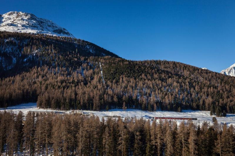 Schloss Hotel Wellness & Family - Oda