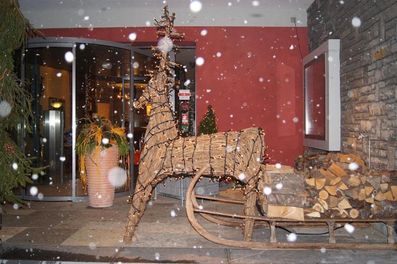 Parkhotel Schoenegg - Genel