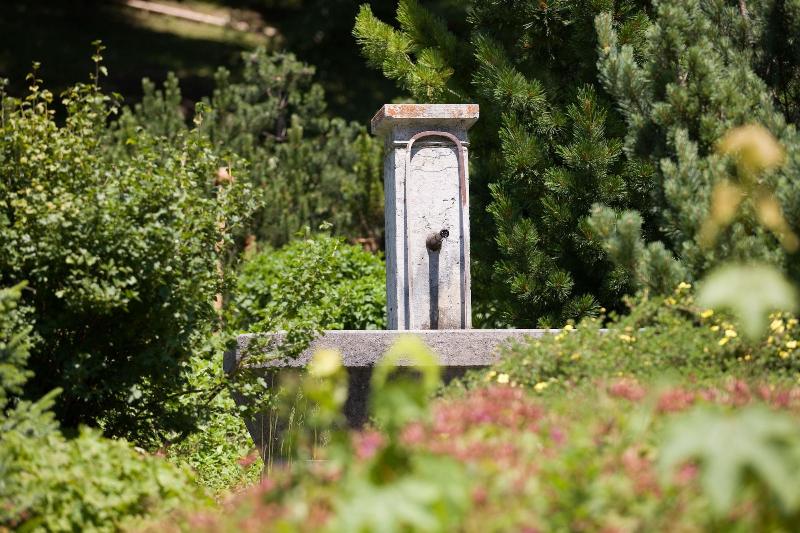 Parkhotel Schoenegg - Oda