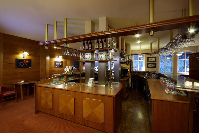 Hotel Snezka - Bar