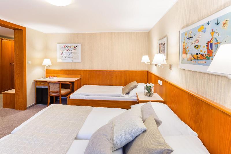 Hotel Snezka - Oda