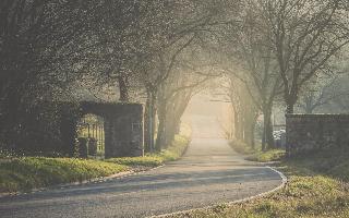 Romantik Landschloss Fasanerie fotoÄŸrafÄ±