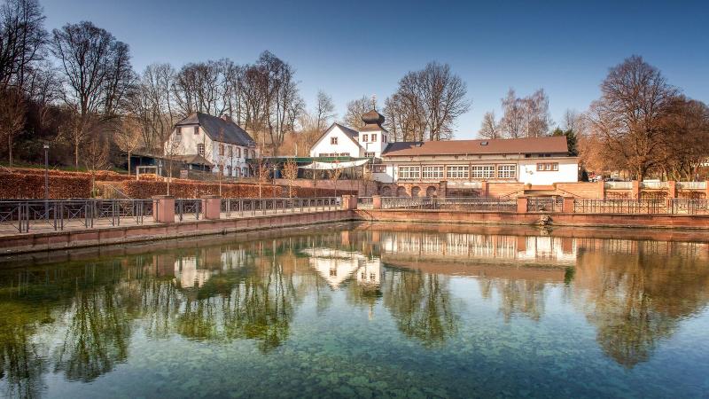 Romantik Landschloss Fasanerie - Genel