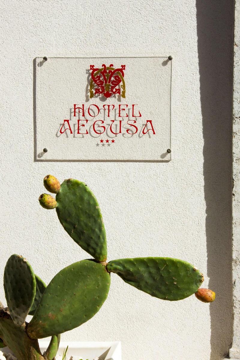 Hotel Aegusa - Genel