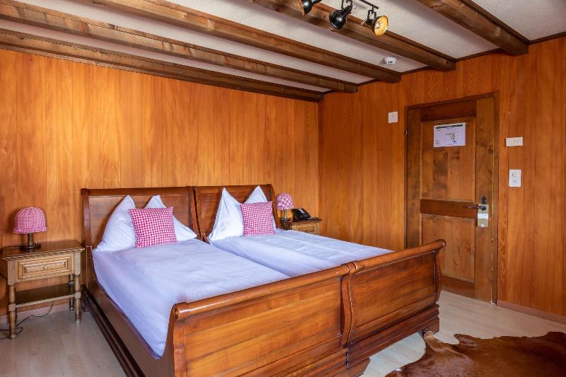 Schloss-Hotel Swiss-Chalet - Oda