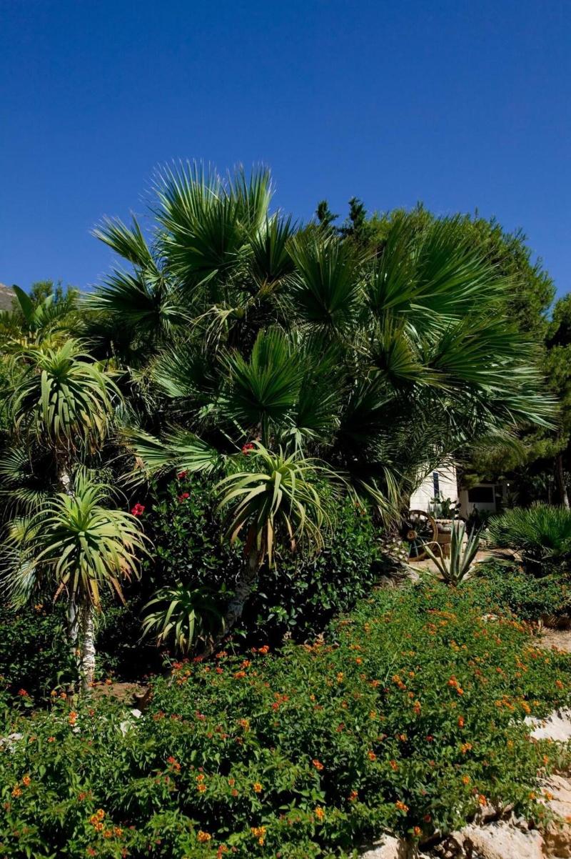 Miramare Residence - Genel