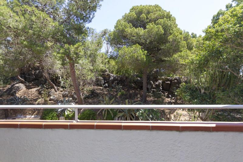 Simius Playa - Oda