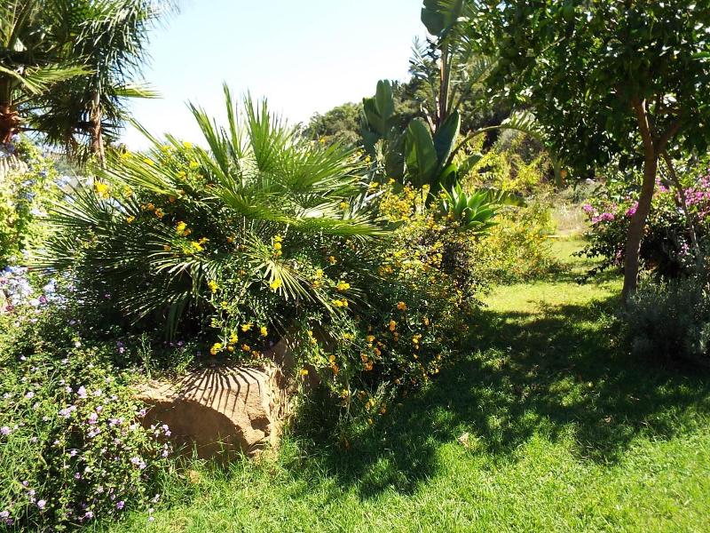 Agriturismo Cefalù - Guest House - Genel