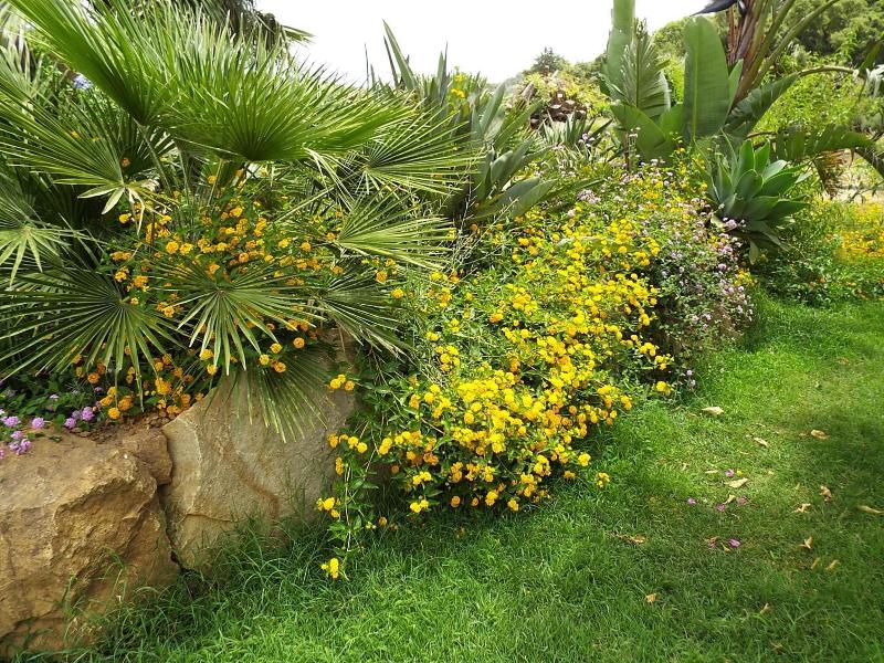 Agriturismo Cefalù - Guest House - Genel