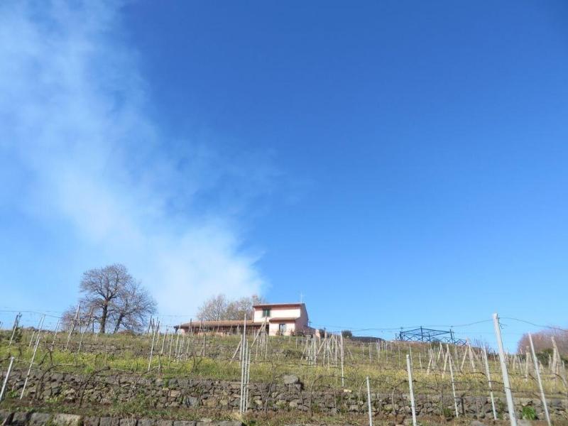 Agriturismo Le Case del Merlo - Genel