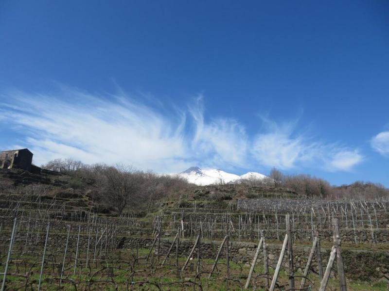 Agriturismo Le Case del Merlo - Genel
