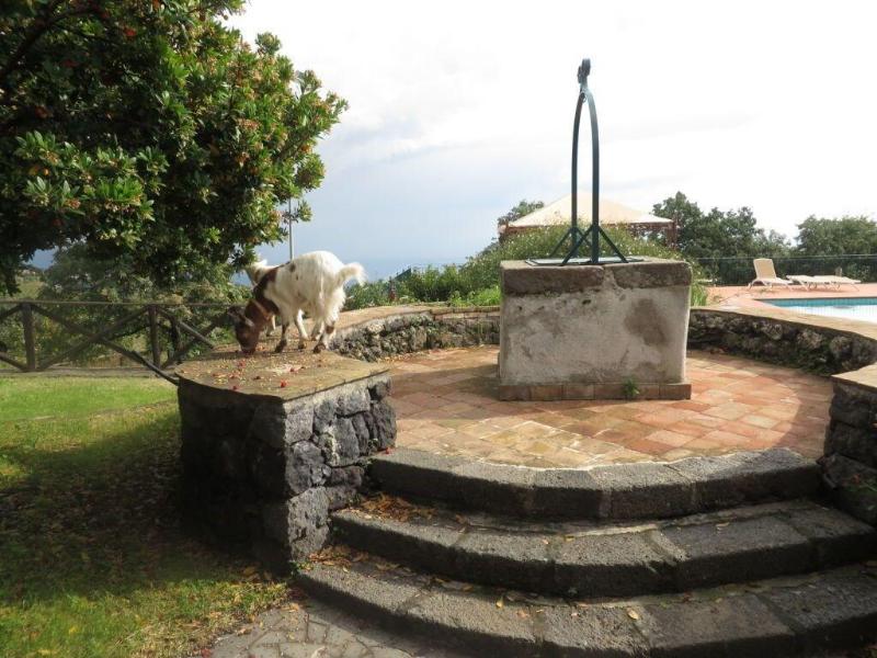 Agriturismo Le Case del Merlo - Genel