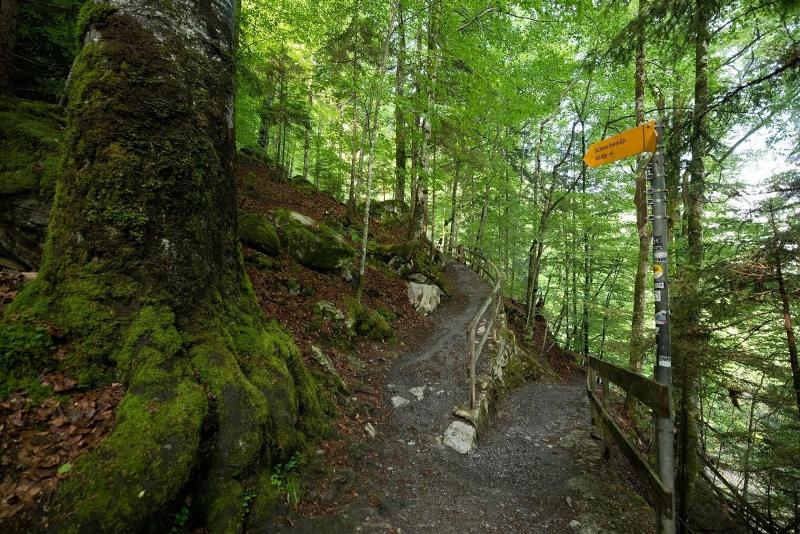 Giessbach Grandhotel - Aktivite