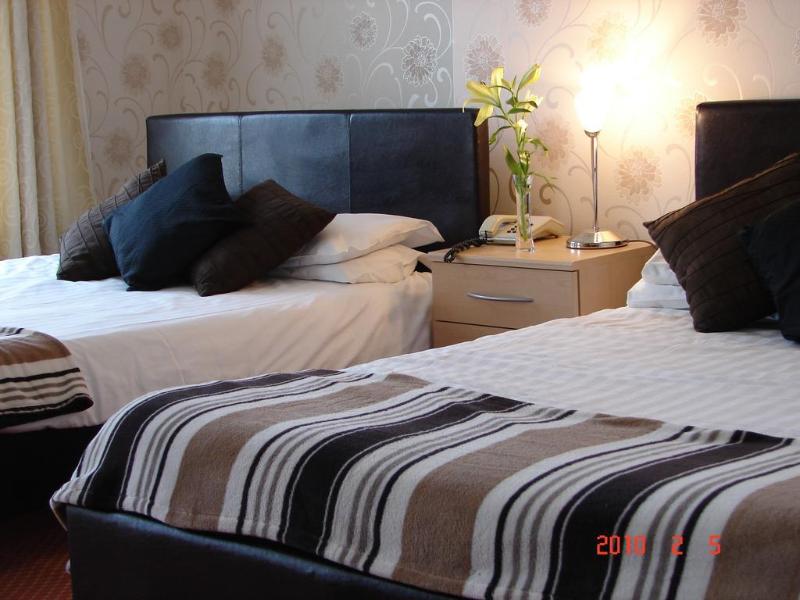 The Star Hotel - Genel