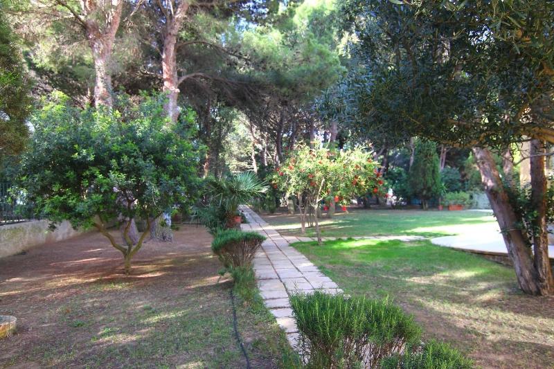 Hotel Cala Dei Pini - Teras