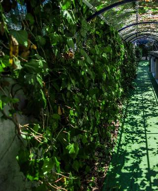 Hotel Ristorante Meson Feliz fotoÄŸrafÄ±