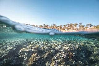 Four Seasons Resort Sharm El Sheikh fotoÄŸrafÄ±