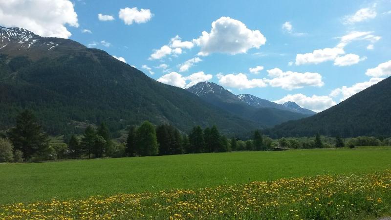 Acla-Filli - Genel