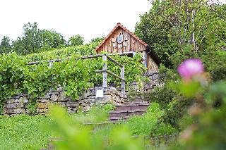 Hotel Lamm Hebsack fotoÄŸrafÄ±
