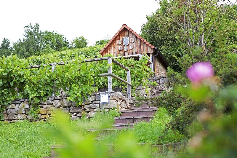 Hotel Lamm Hebsack - Aktivite