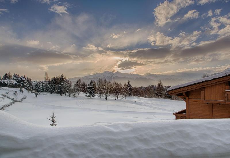 Guarda Golf - Genel