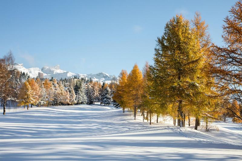Guarda Golf - Genel