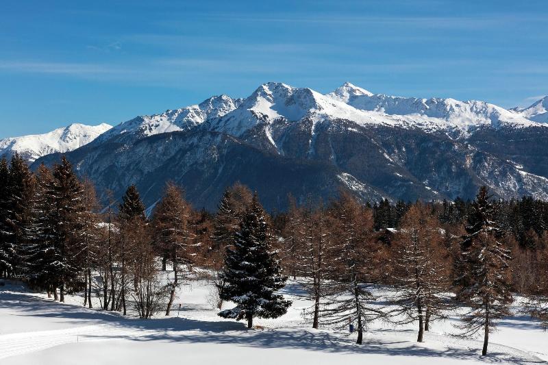Guarda Golf - Genel