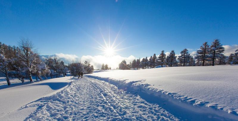 Guarda Golf - Genel